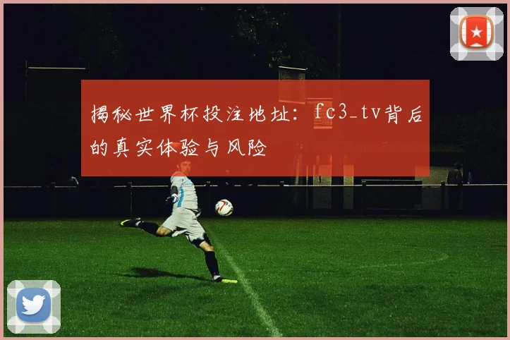揭秘世界杯投注地址:fc3_tv背后的真实体验与风险