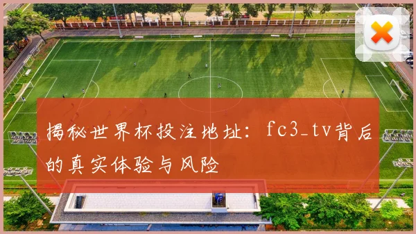 揭秘世界杯投注地址：fc3_tv背后的真实体验与风险