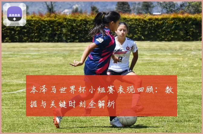 本泽马世界杯小组赛表现回顾：数据与关键时刻全解析