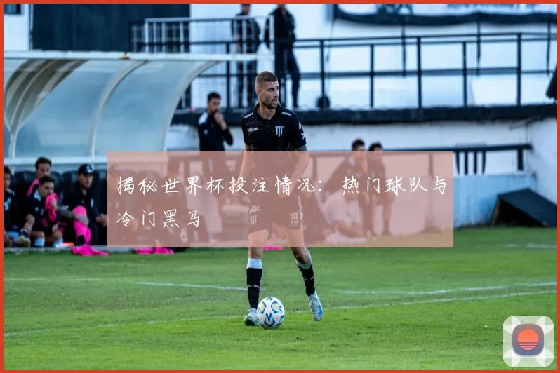 揭秘世界杯投注情况:热门球队与冷门黑马